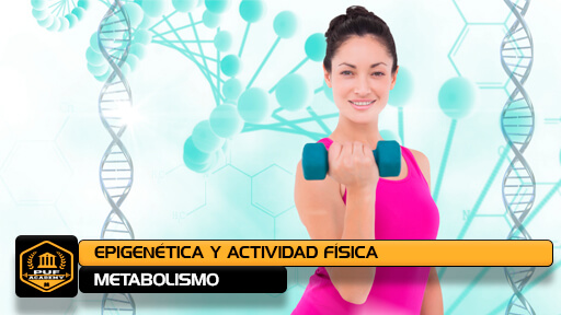 EPECIALISTA EN EPIGENETICA Y ACTIVIDAD FISICA