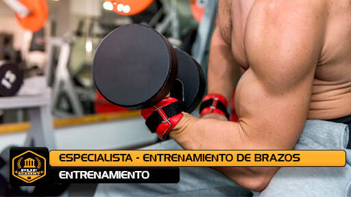 ESPECIALISTA EN ENTRENAMIENTO DE BRAZOS