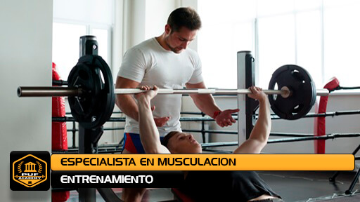 ESPECIALISTA EN MUSCULACION