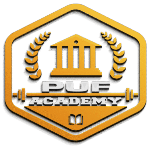 puf-academy.com