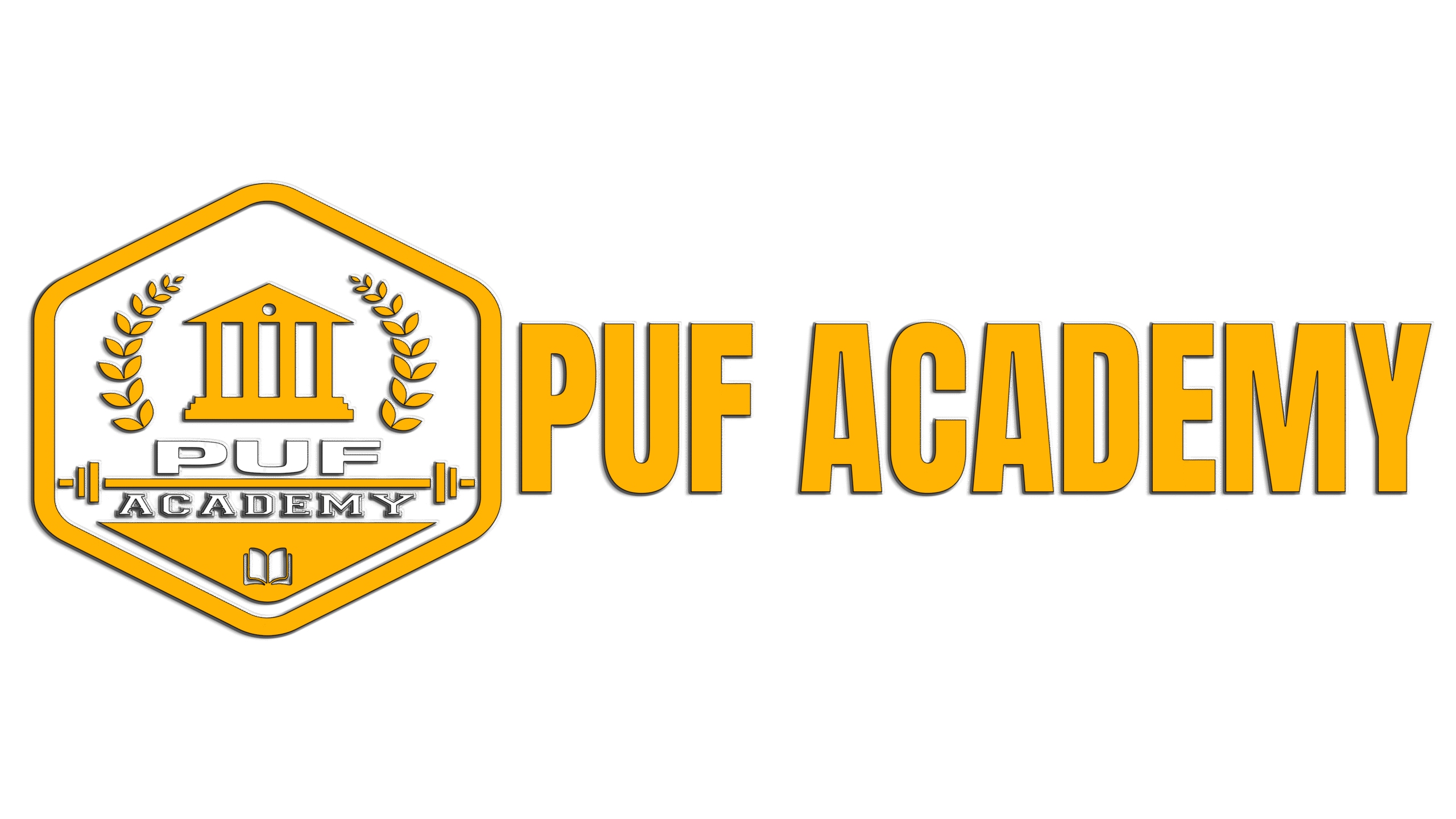 puf-academy.com